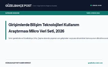 Girişimlerde Bilişim Teknolojileri Kullanım Araştırması Mikro Veri Seti, 2026