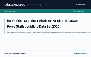İŞGÜCÜ İSTATİSTİKLERİ MİKRO VERİ SETİ Labour Force Statistics Micro Data Set 2025