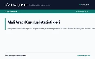 Mali Aracı Kuruluş İstatistikleri