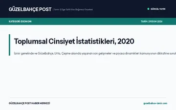 Toplumsal Cinsiyet İstatistikleri, 2020