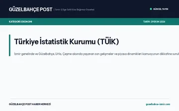 Türkiye İstatistik Kurumu (TÜİK)