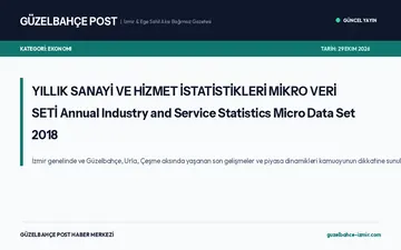 YILLIK SANAYİ VE HİZMET İSTATİSTİKLERİ MİKRO VERİ SETİ Annual Industry and Service Statistics Micro Data Set 2018